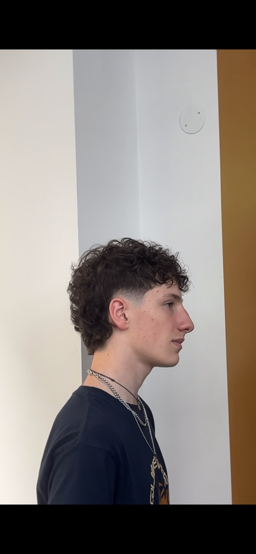 Riccio Definito